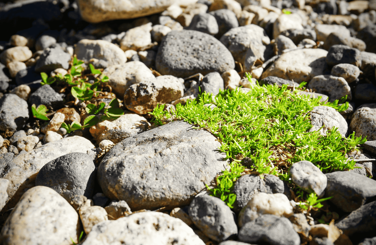 Gravel, Small Stones