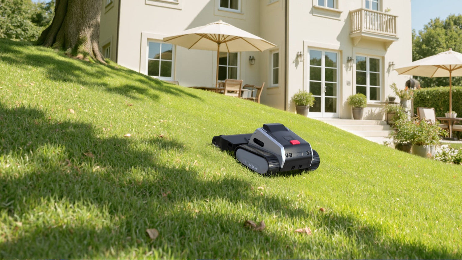 Beyond Dollars: The Real Cost of Lawn Care