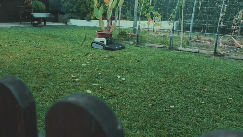 3 (1)_085d33ba-cce2-497d-9d20-807349cb75be.mp4
